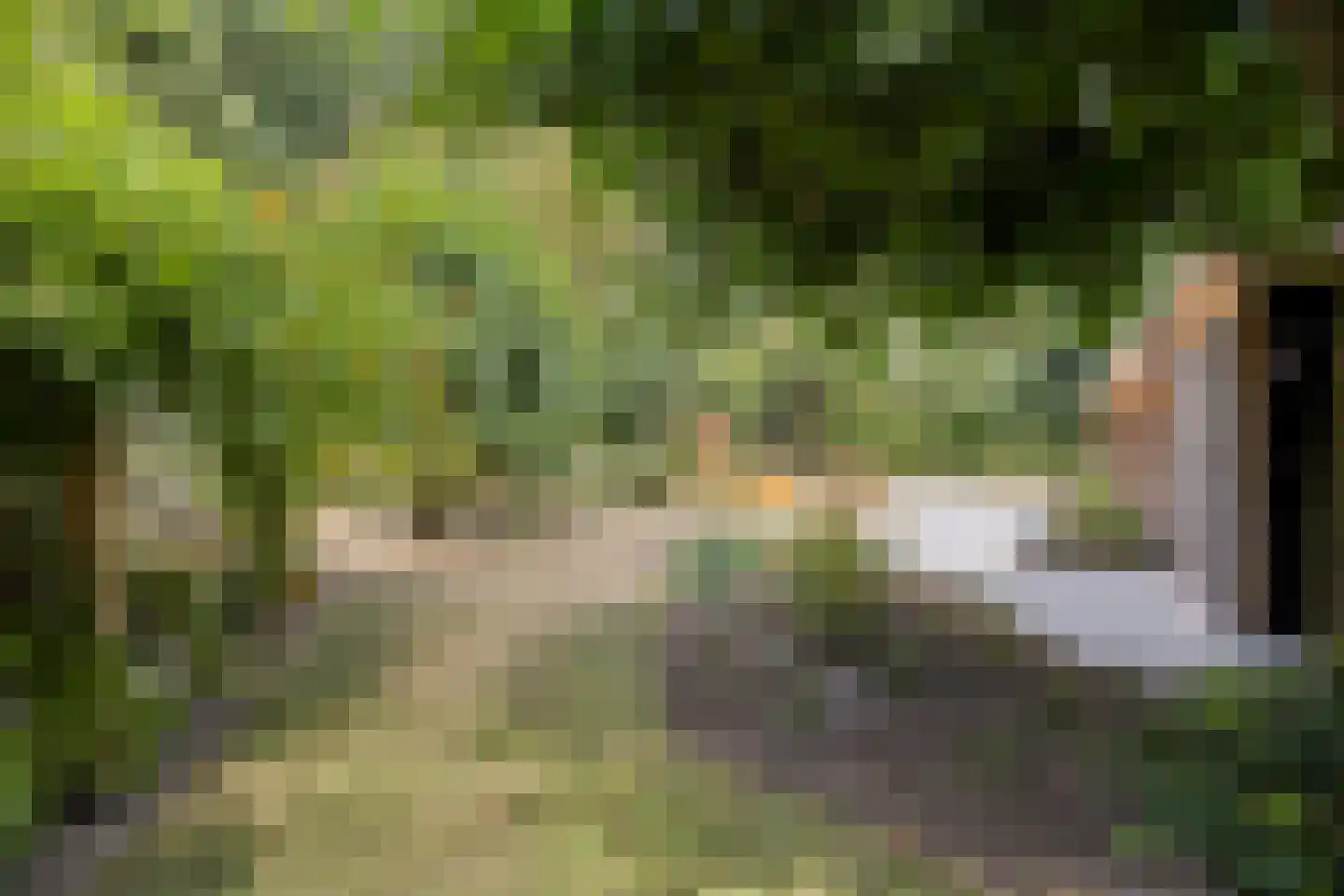 Tholenseweg 6 Halsteren thumbnail 65