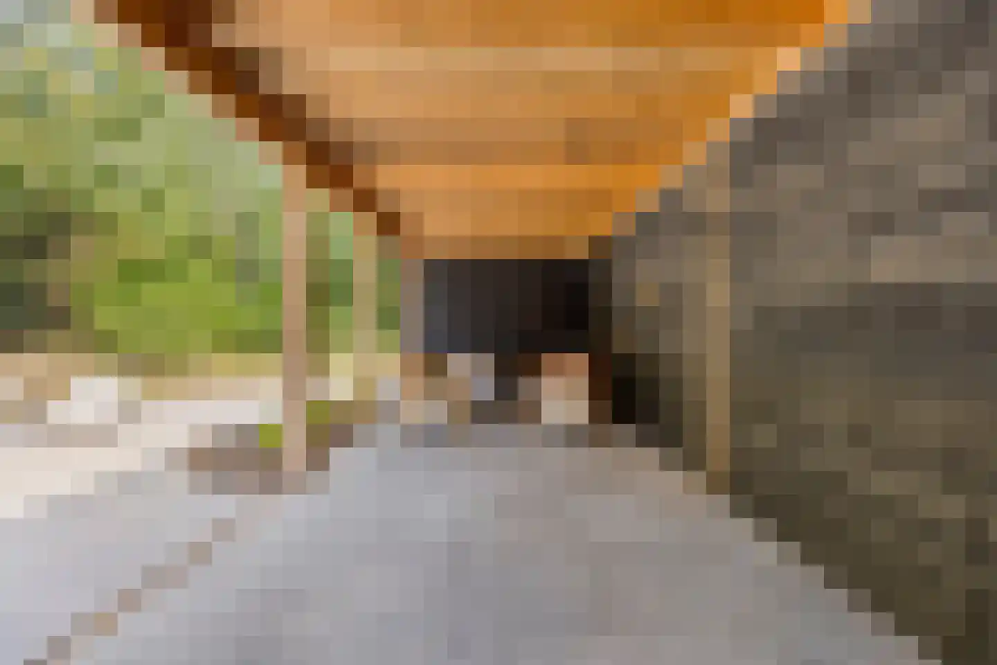 Tholenseweg 6 Halsteren thumbnail 69