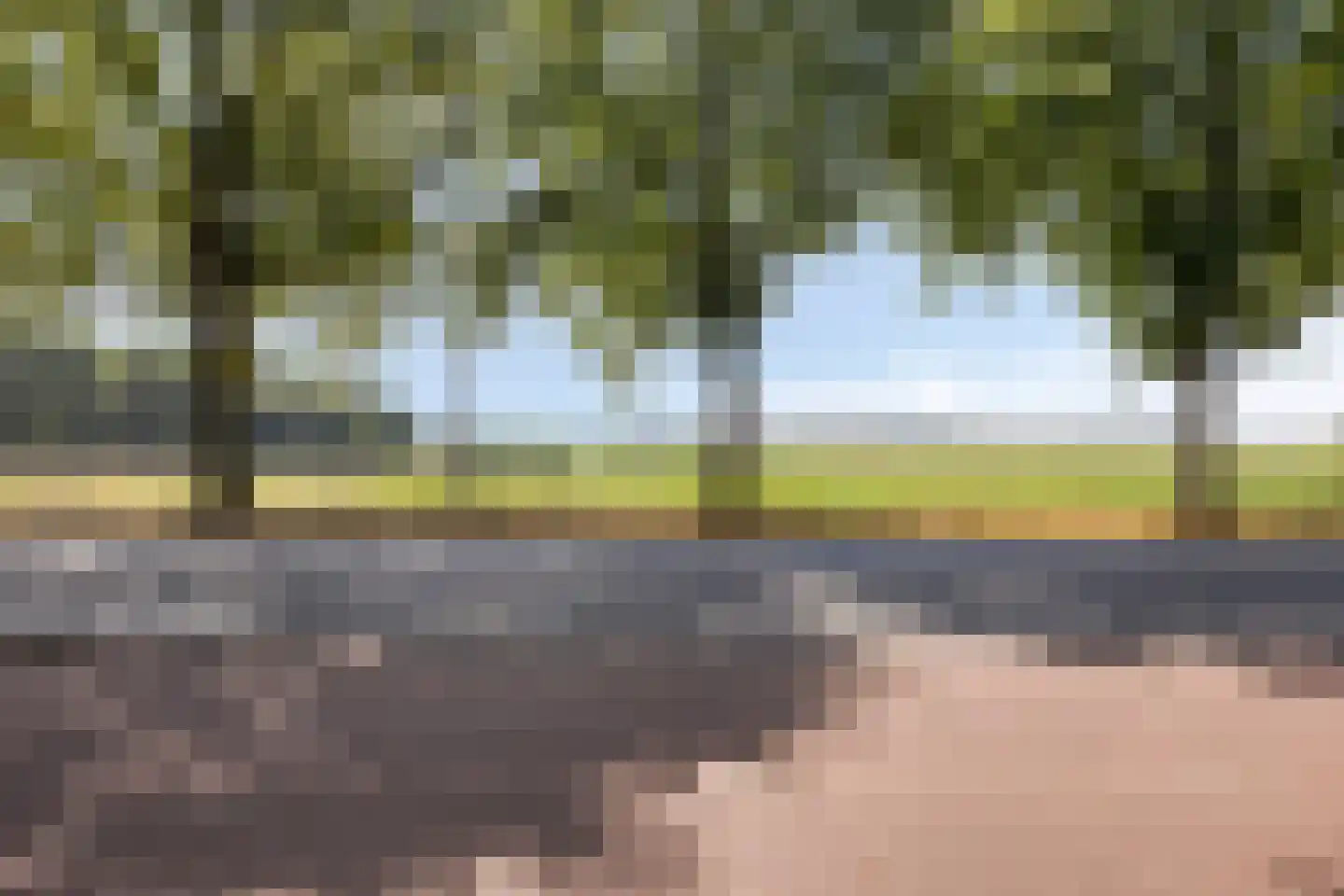 Tholenseweg 6 Halsteren thumbnail 7