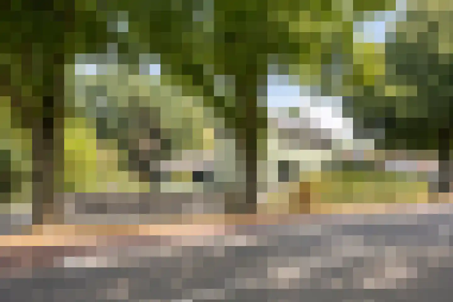 Tholenseweg 6 Halsteren thumbnail 78