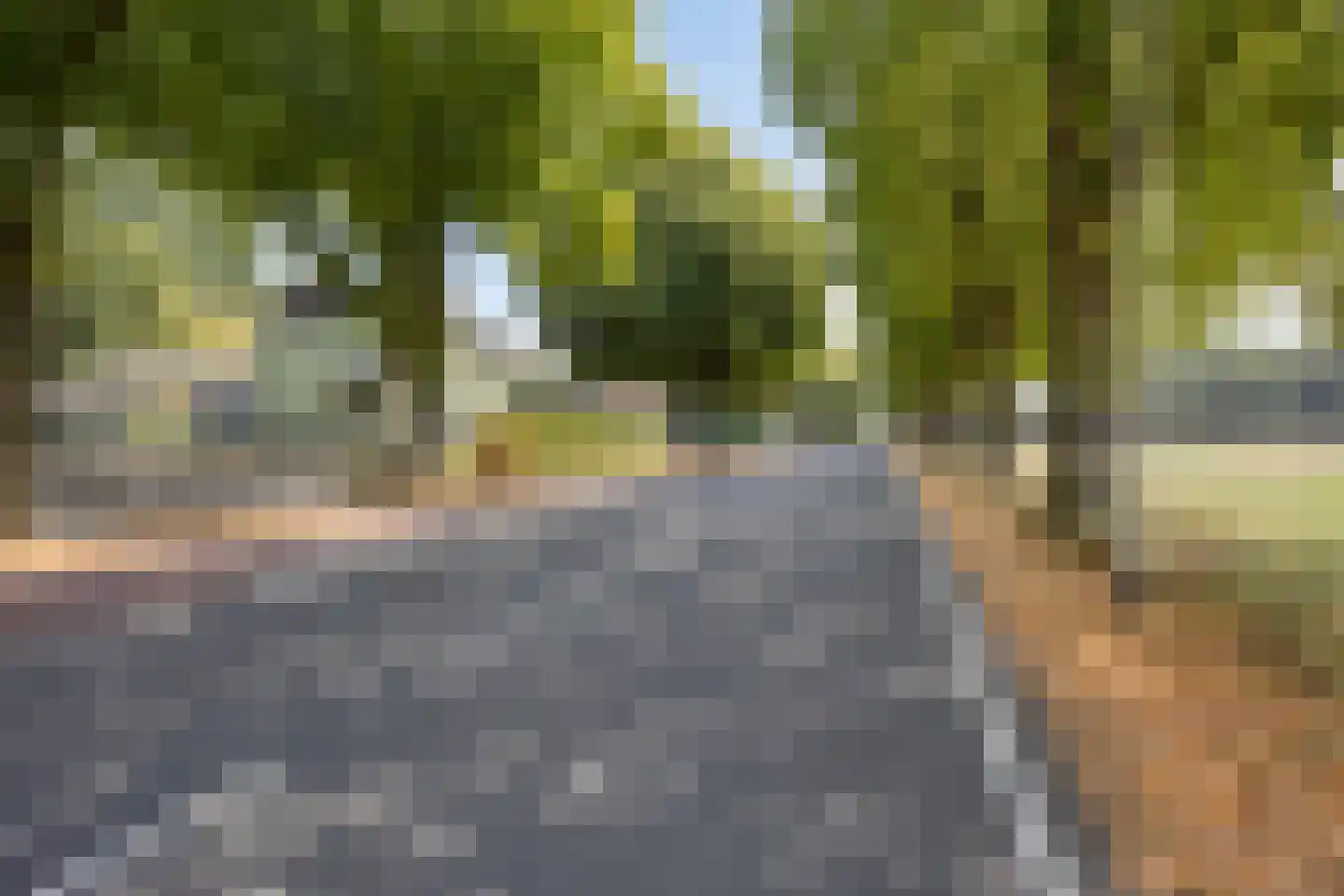 Tholenseweg 6 Halsteren thumbnail 8