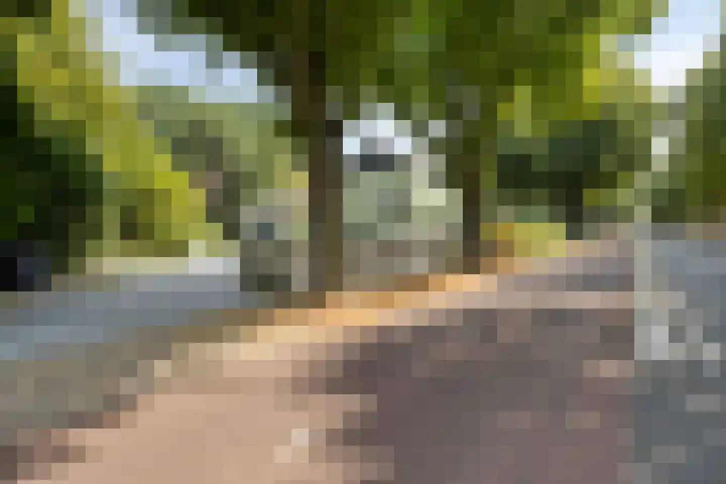 Tholenseweg 6 Halsteren thumbnail 80