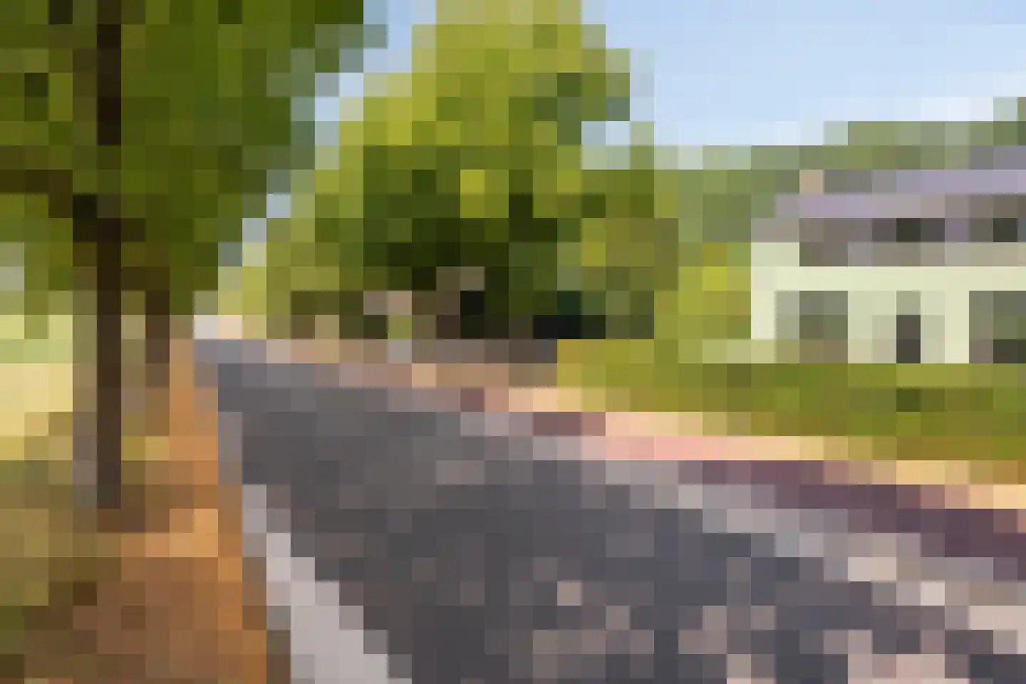 Tholenseweg 6 Halsteren thumbnail 81
