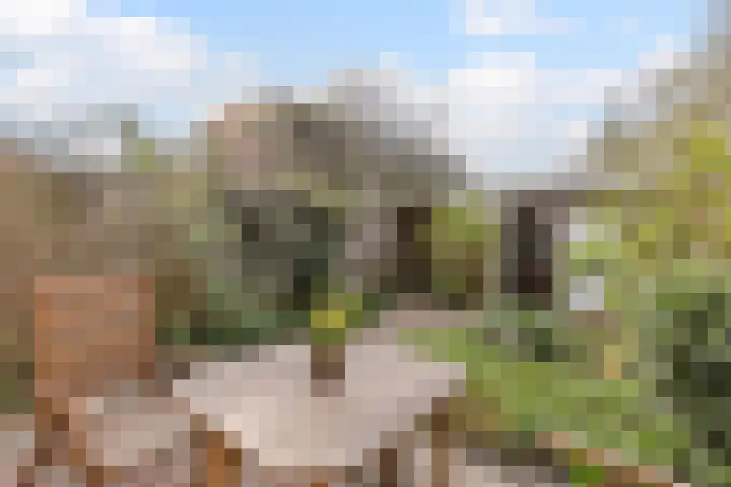 Tholenseweg 7 Amstelveen thumbnail 14