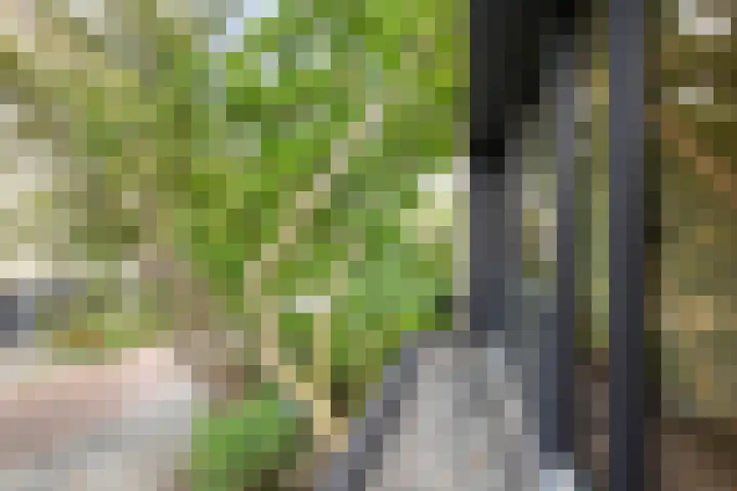 Tholenseweg 7 Amstelveen thumbnail 22