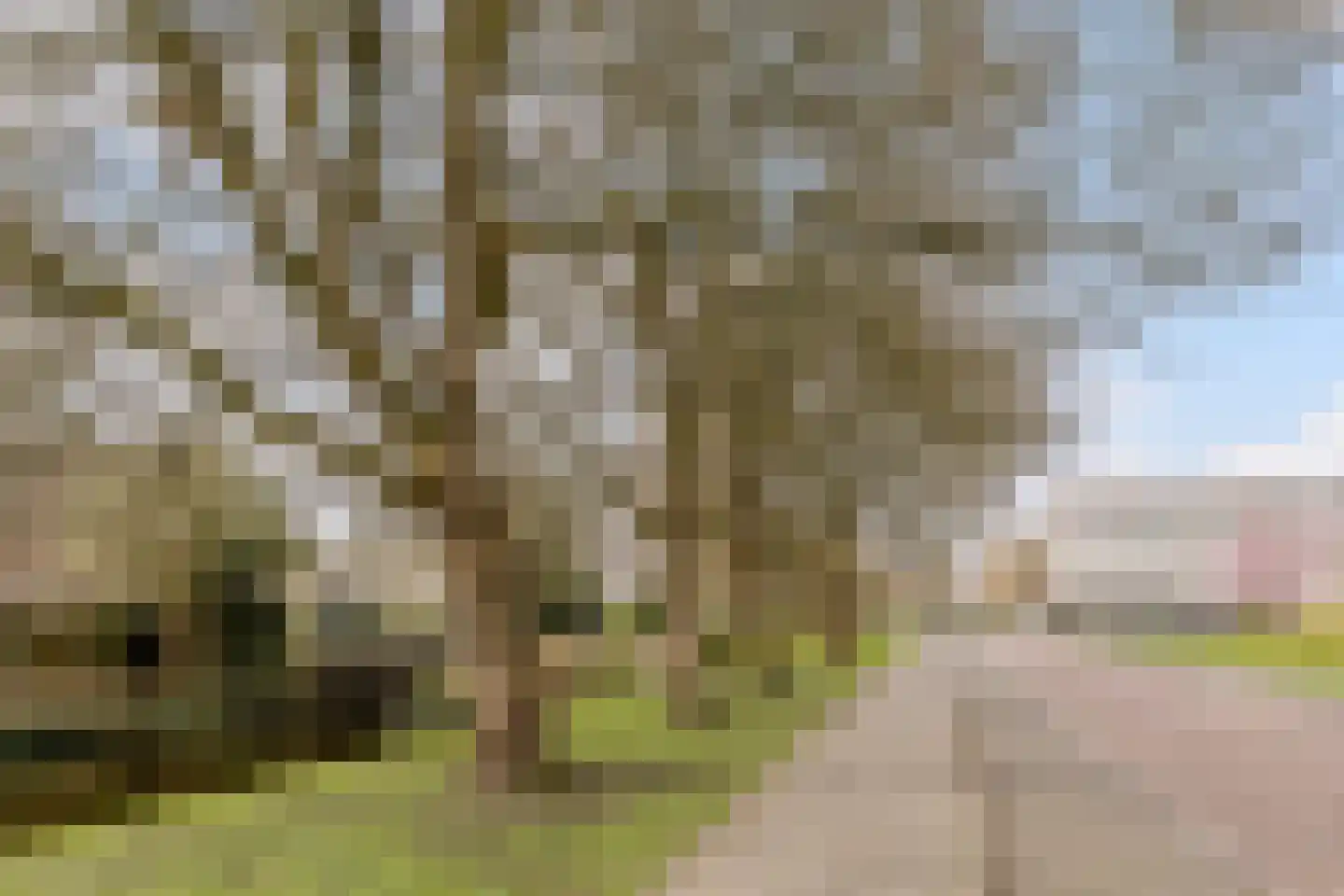 Tholenseweg 7 Amstelveen thumbnail 25