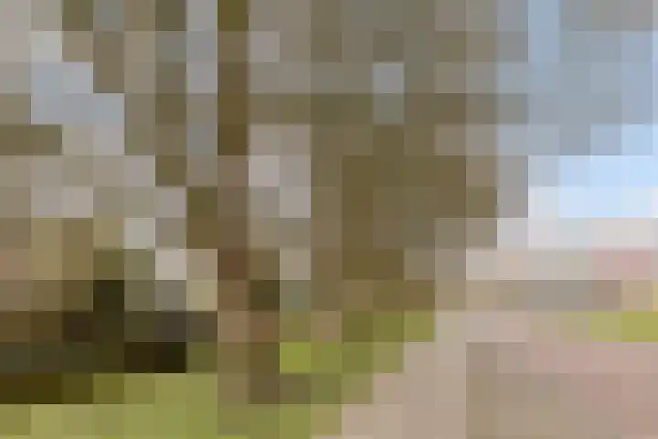 Tholenseweg 7 Amstelveen thumbnail 25