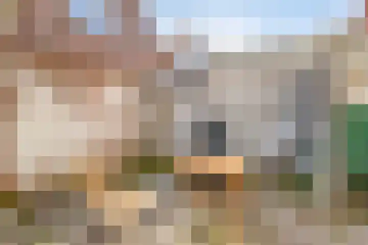 Tholensstraat 147 Terneuzen thumbnail 17
