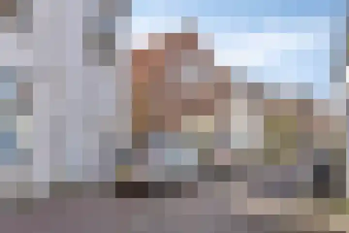 Tholensstraat 147 Terneuzen thumbnail 19
