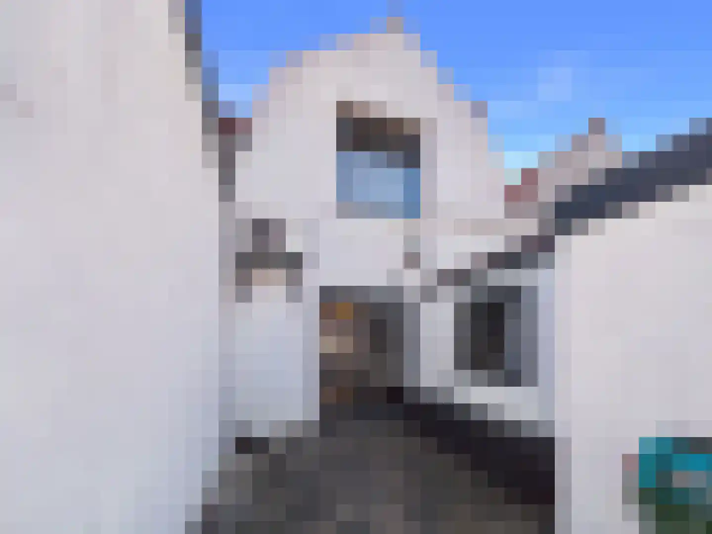 Tholensstraat 52 Terneuzen thumbnail 33