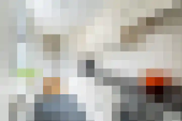 Tholenstraat 1 Kampen thumbnail 13