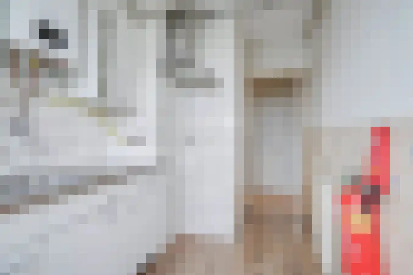 Tholenstraat 114 Rotterdam thumbnail 18