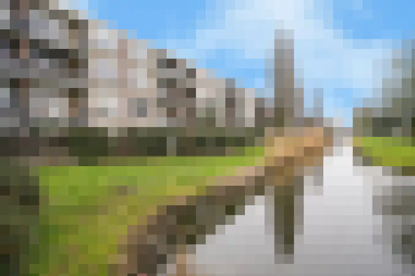 Tholenstraat 132 Rotterdam thumbnail 25