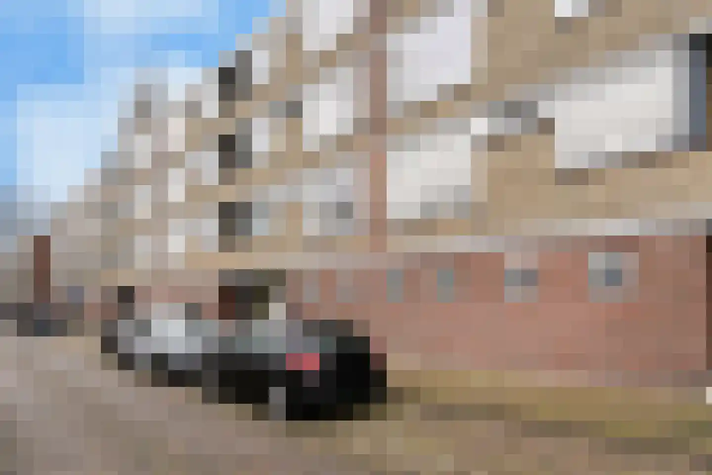 Tholenstraat 132 Rotterdam thumbnail 27