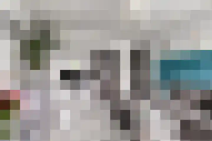 Tholenstraat 24 Rotterdam thumbnail 6