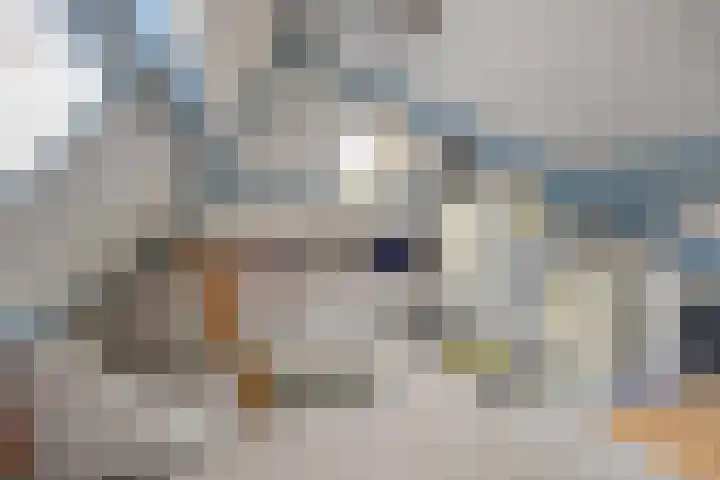 Tholenstraat 7 Kampen thumbnail 25