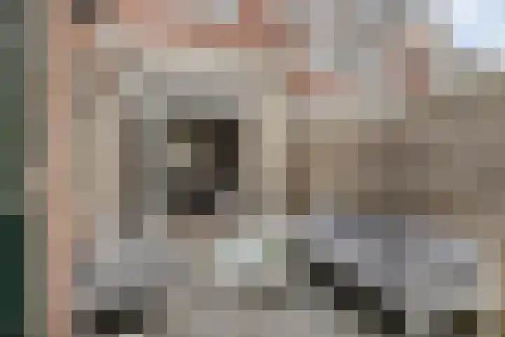 Tholenstraat 7 Kampen thumbnail 28