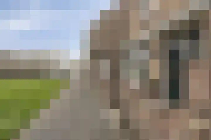 Tholenstraat 7 Kampen thumbnail 33