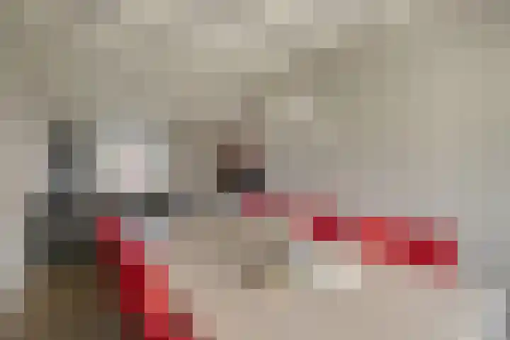 Tholenstraat 7 Kampen thumbnail 8