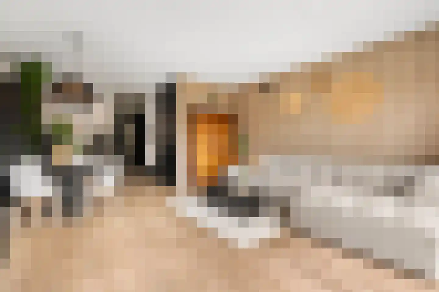 Thom Posthumahof 15 Weesp thumbnail 10