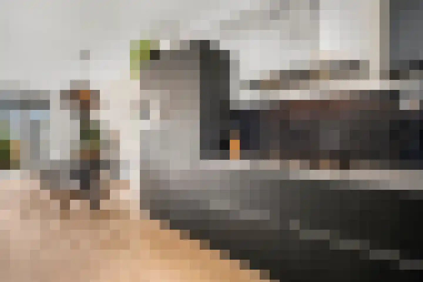 Thom Posthumahof 15 Weesp thumbnail 17