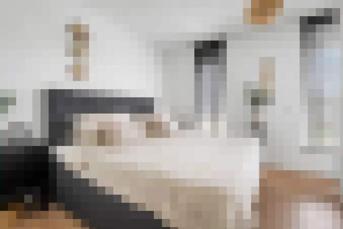 Thom Posthumahof 15 Weesp thumbnail 20