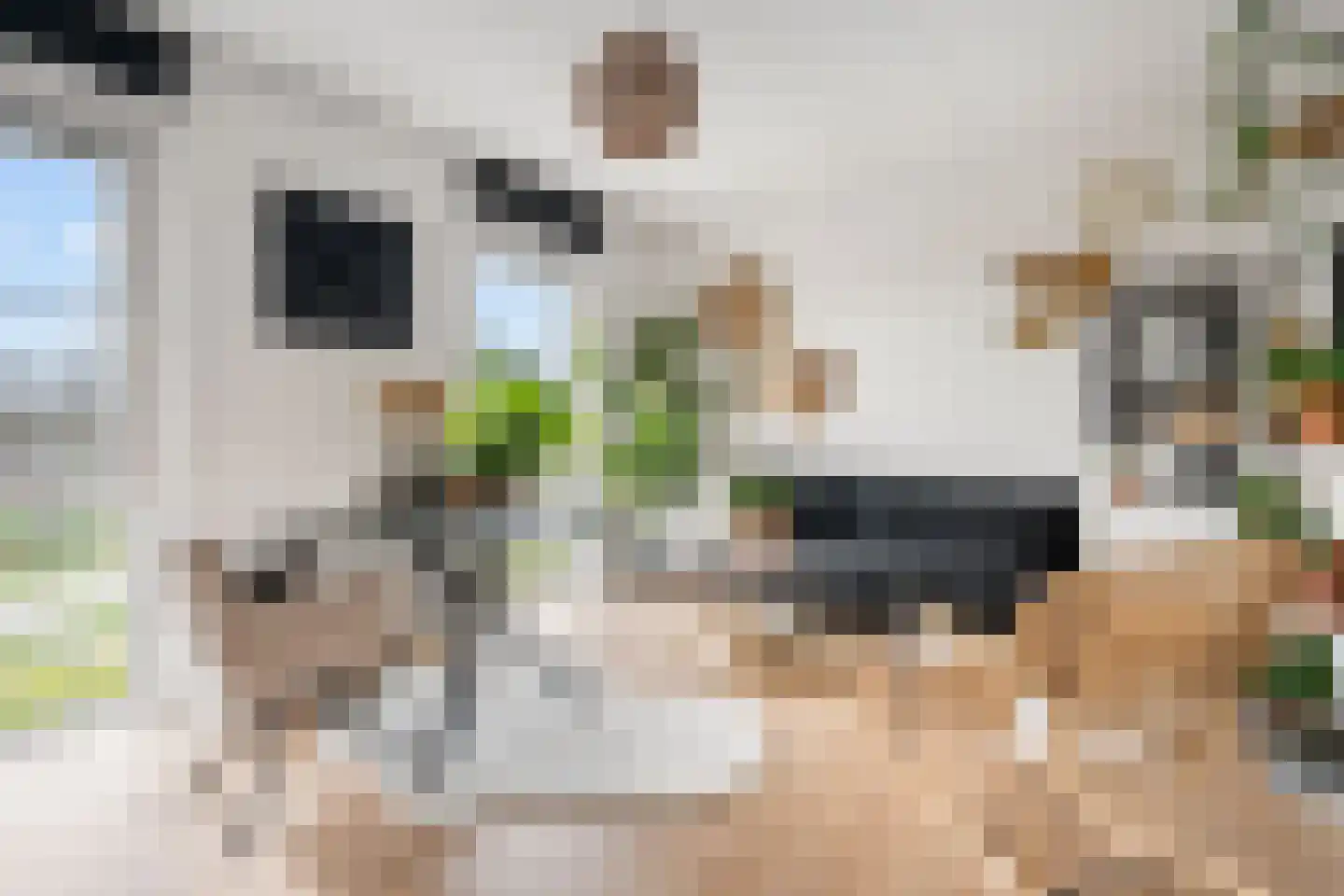 Thom Posthumahof 15 Weesp thumbnail 31