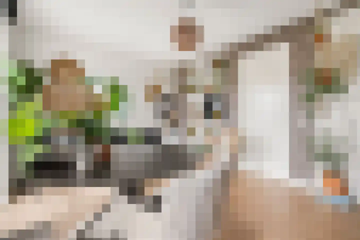 Thom Posthumahof 15 Weesp thumbnail 32