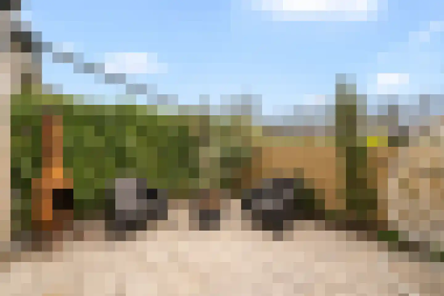 Thom Posthumahof 15 Weesp thumbnail 8