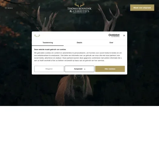 Screenshot van de website van www.thomabennink.nl
