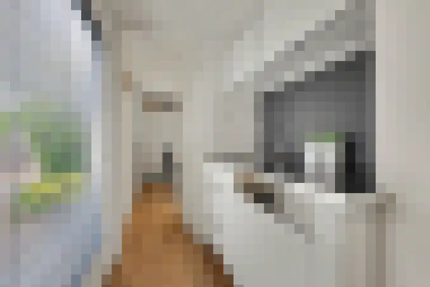 Thomas a Kempislaan 1 Almelo thumbnail 11