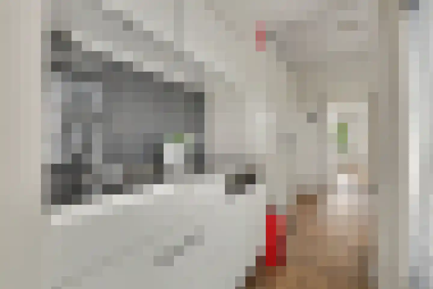 Thomas a Kempislaan 1 Almelo thumbnail 12