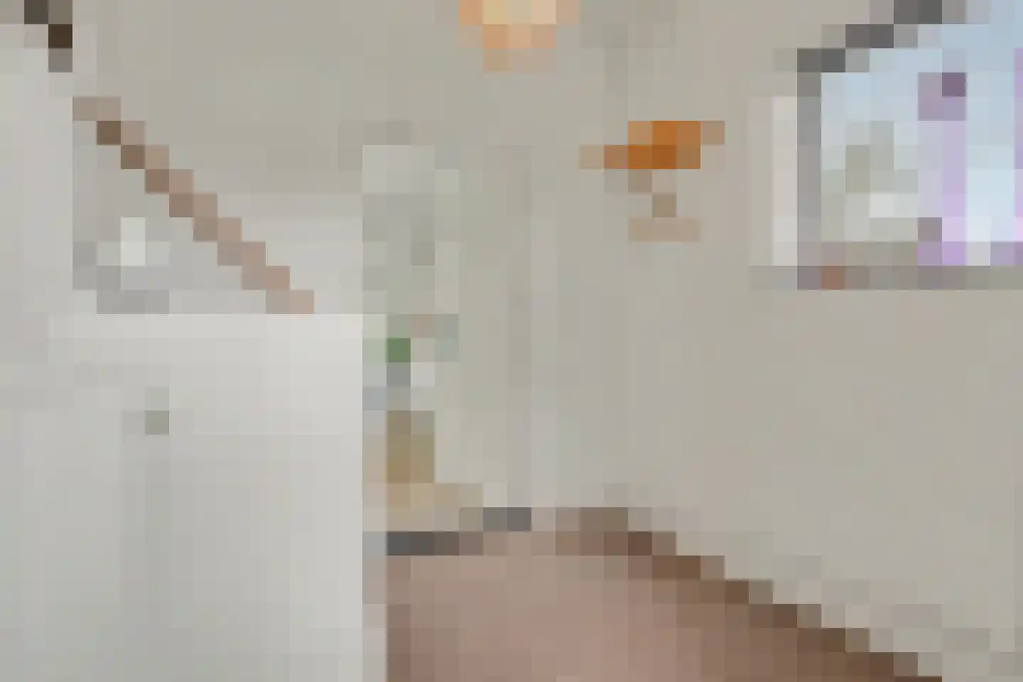 Thomas a Kempislaan 1 Almelo thumbnail 16