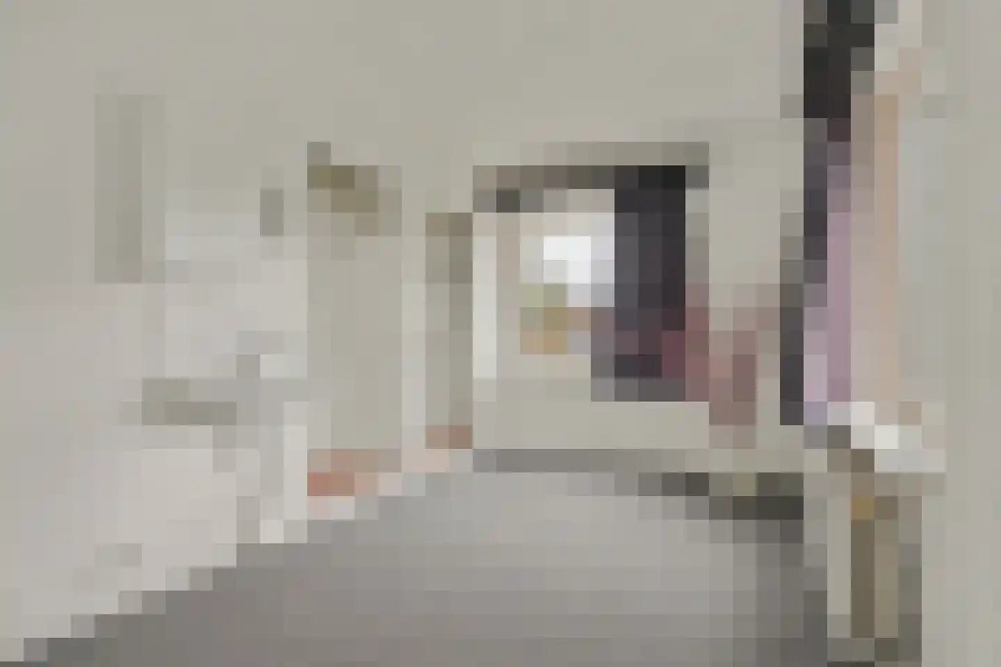 Thomas a Kempislaan 1 Almelo thumbnail 19