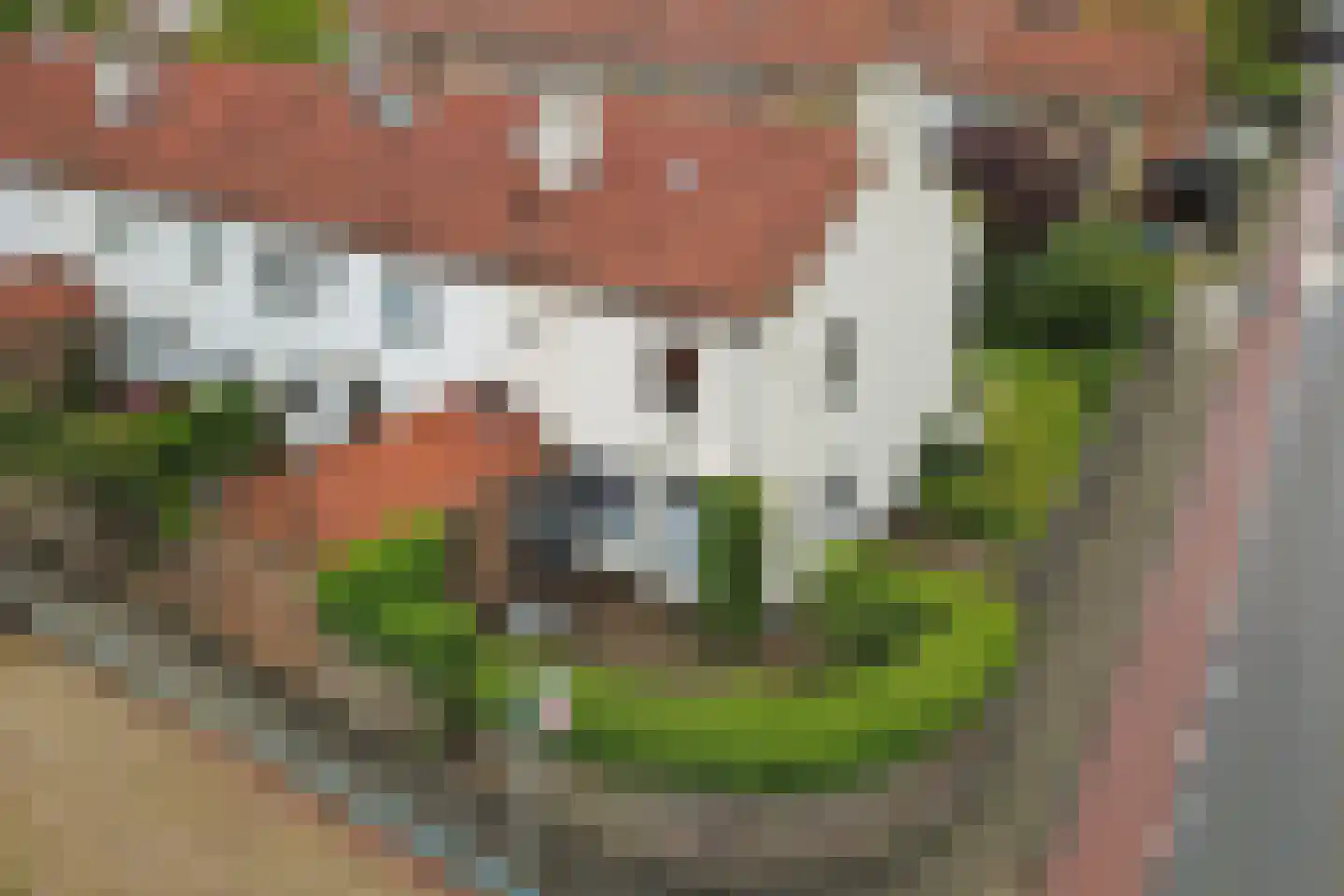 Thomas a Kempislaan 1 Almelo thumbnail 31