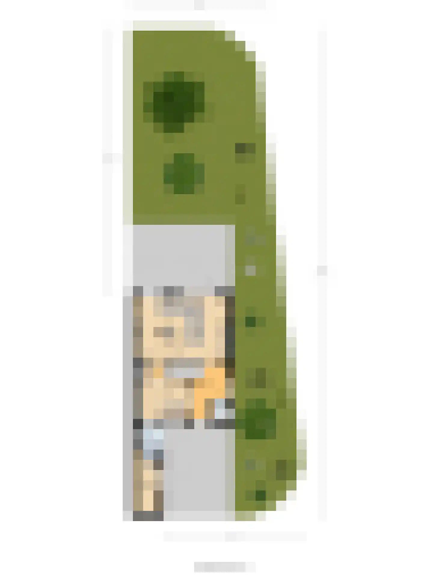 Thomas a Kempislaan 1 Almelo thumbnail 34