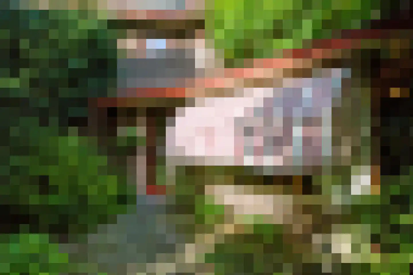 Thomas a Kempislaan 1 Arnhem thumbnail 31