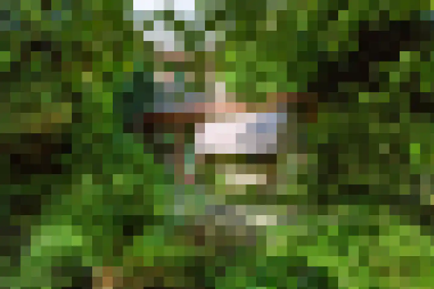 Thomas a Kempislaan 1 Arnhem thumbnail 32