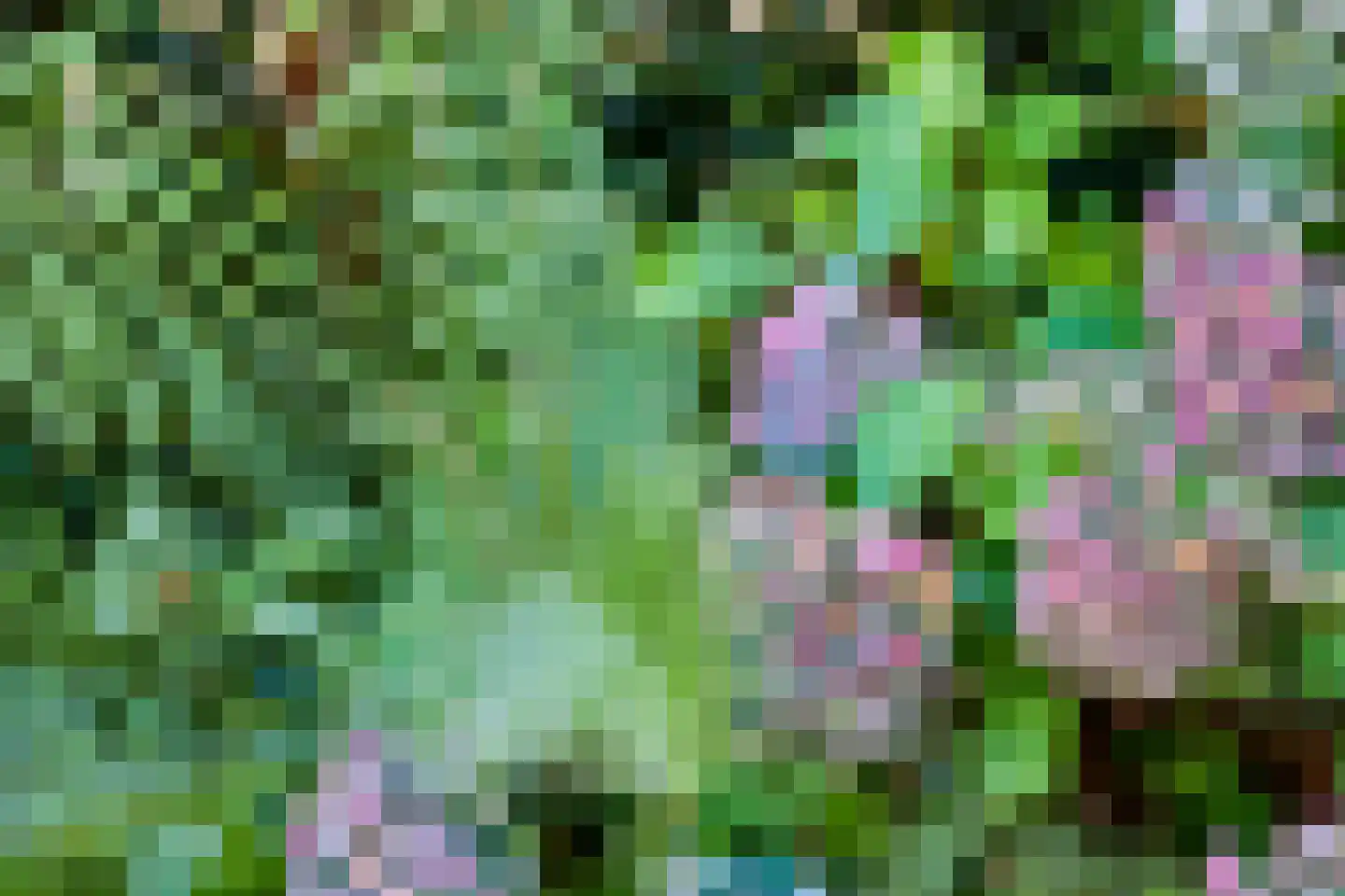 Thomas a Kempislaan 1 Arnhem thumbnail 35
