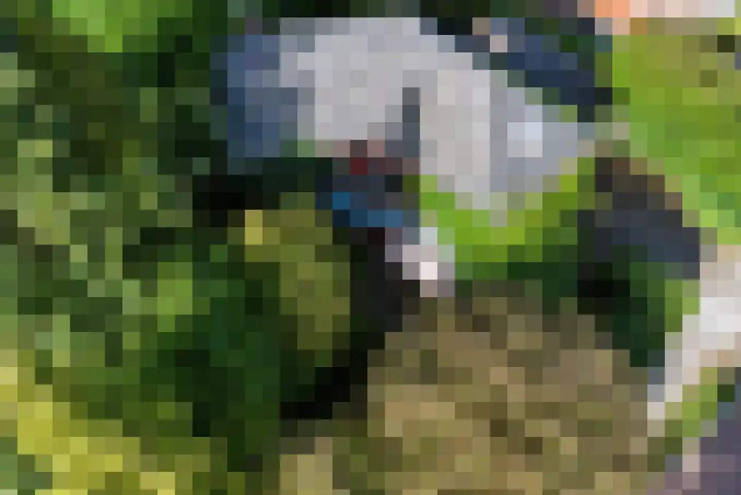 Thomas a Kempislaan 1 Arnhem thumbnail 36