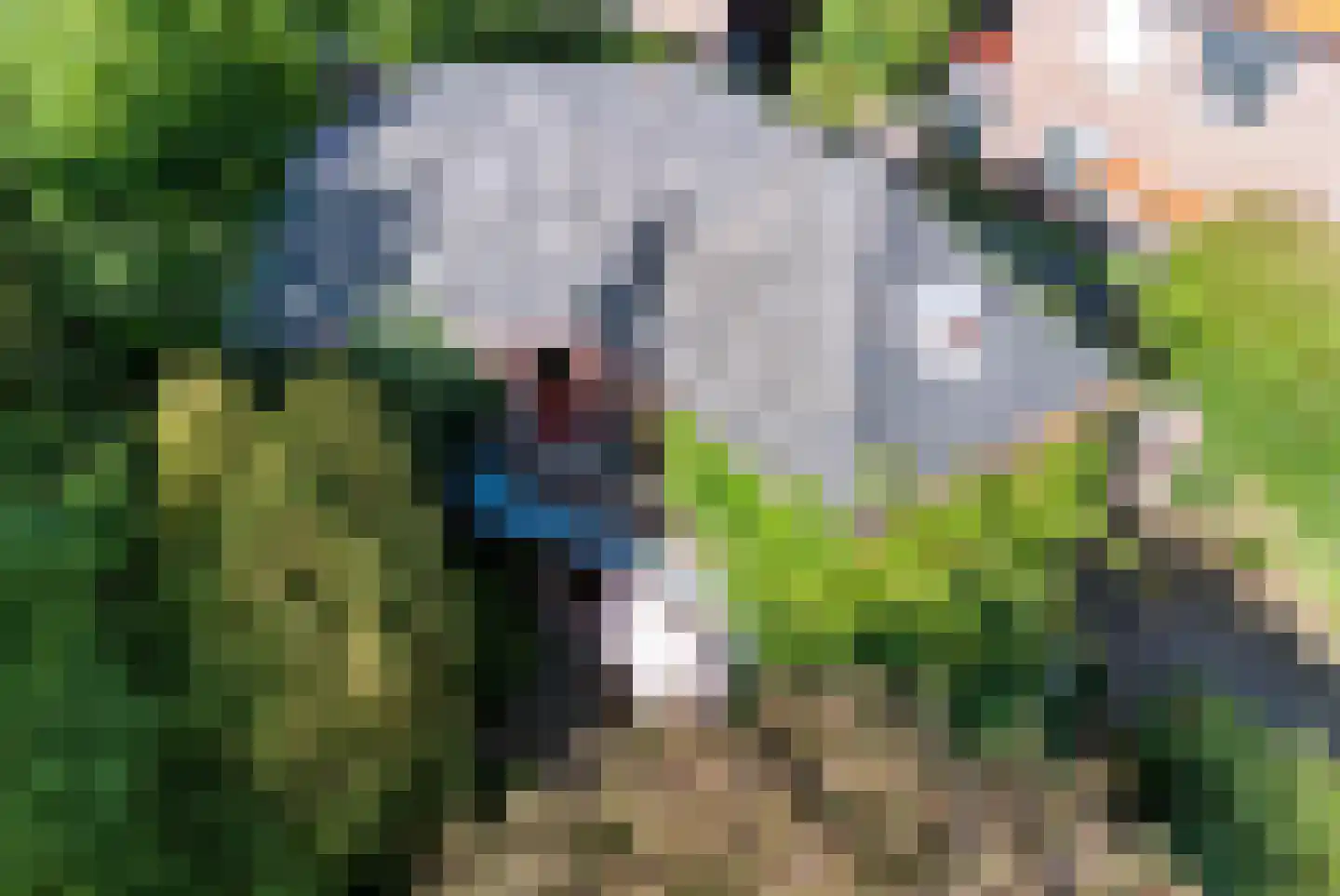 Thomas a Kempislaan 1 Arnhem thumbnail 37