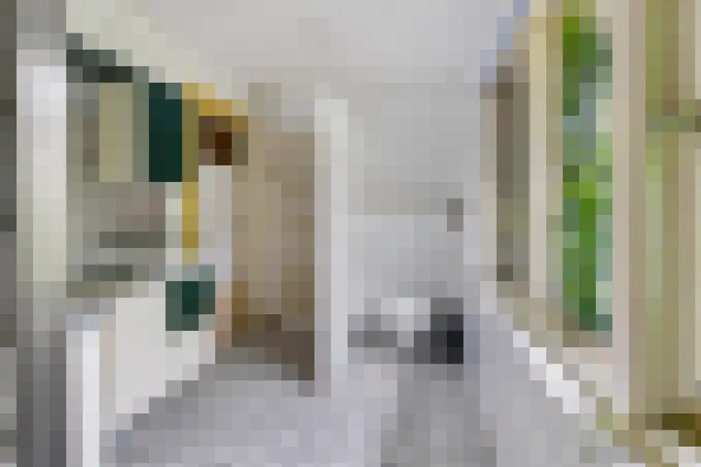 Thomas a Kempislaan 1 Arnhem thumbnail 6