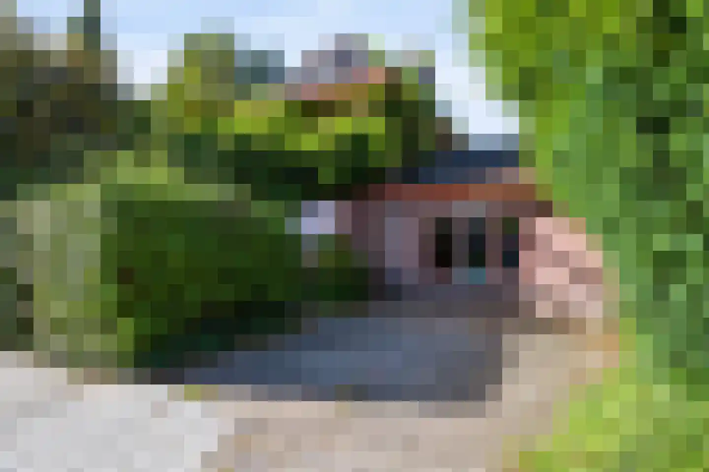 Thomas a Kempislaan 1 Arnhem thumbnail 7