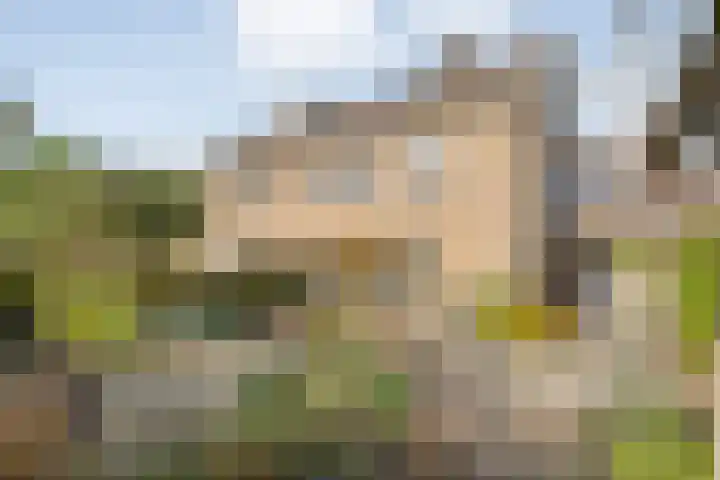 Thomas à Kempislaan 16 A Dalfsen