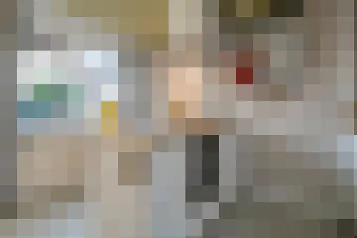 Thomas à Kempislaan 16 A Dalfsen thumbnail 10
