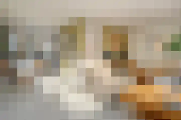 Thomas à Kempislaan 16 A Dalfsen thumbnail 16