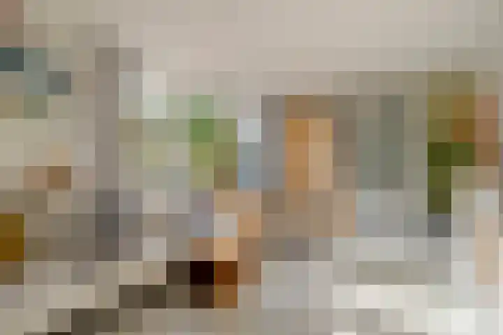 Thomas à Kempislaan 16 A Dalfsen thumbnail 19