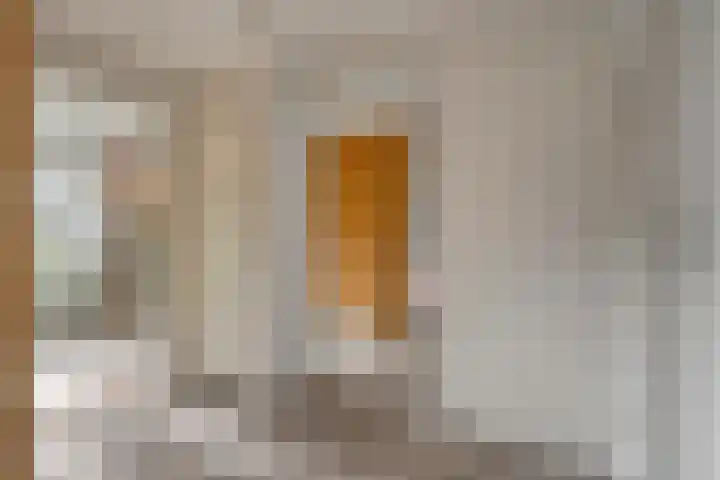 Thomas à Kempislaan 16 A Dalfsen thumbnail 24