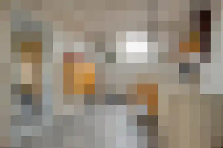 Thomas à Kempislaan 16 A Dalfsen thumbnail 29
