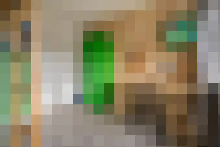 Thomas à Kempislaan 16 A Dalfsen thumbnail 34